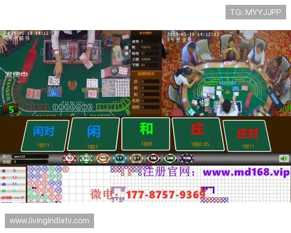 918搏天堂庄闲怎么玩高胜率攻略，提升庄闲游戏盈利的实用方法