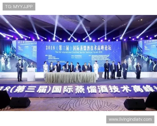 乐华娱乐：聚焦青少年偶像培养与国际合作的未来发展战略