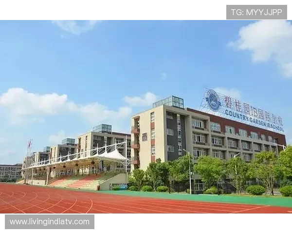 体博网app：专业体育数据分析与互动社区功能详解